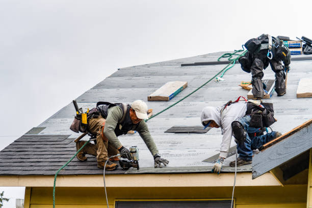 Professional Roofing technician working in Economy, IN